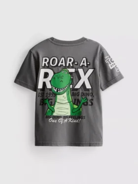 1–9 éves korosztály | Disney Pixar Toy Story Rex póló