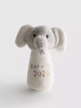 „Born in 2026” feliratú csörgő játék