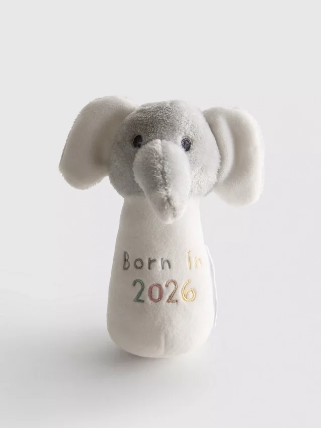 „Born in 2026” feliratú csörgő játék